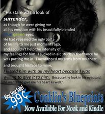 Brooke Page Conklin Books teaser 2