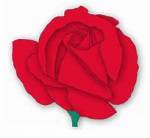 rose rating for reviews