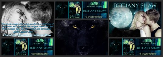 Out of the Shadows review picture 2013