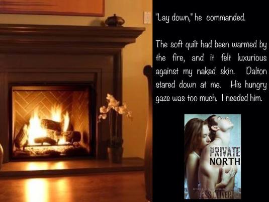 Private North Teaser 2