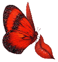 butterfly kisses