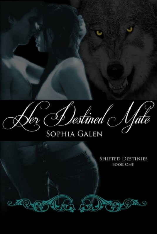 HDM Final Cover Amazon Dimensions