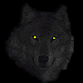 Wolfwith glowing eyes