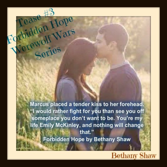 teaser 3, author made with anna edits forbidden hope