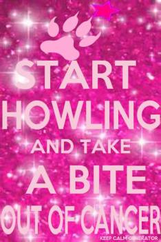 10717574_927042250656727_935206818_n