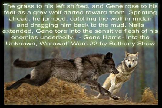 68192_1540727089478016_1445888251929804617_n