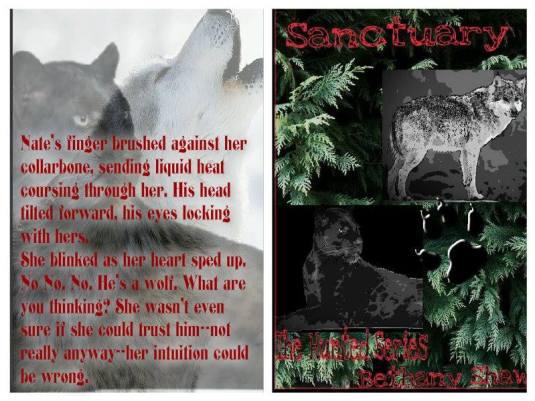 1978849_832419946804344_6645607739403054029_n