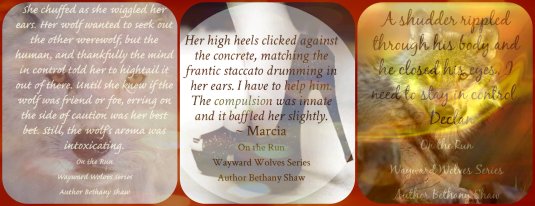 on the run teaser 1Collage