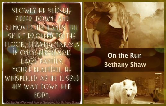 on the run teasers2Collage